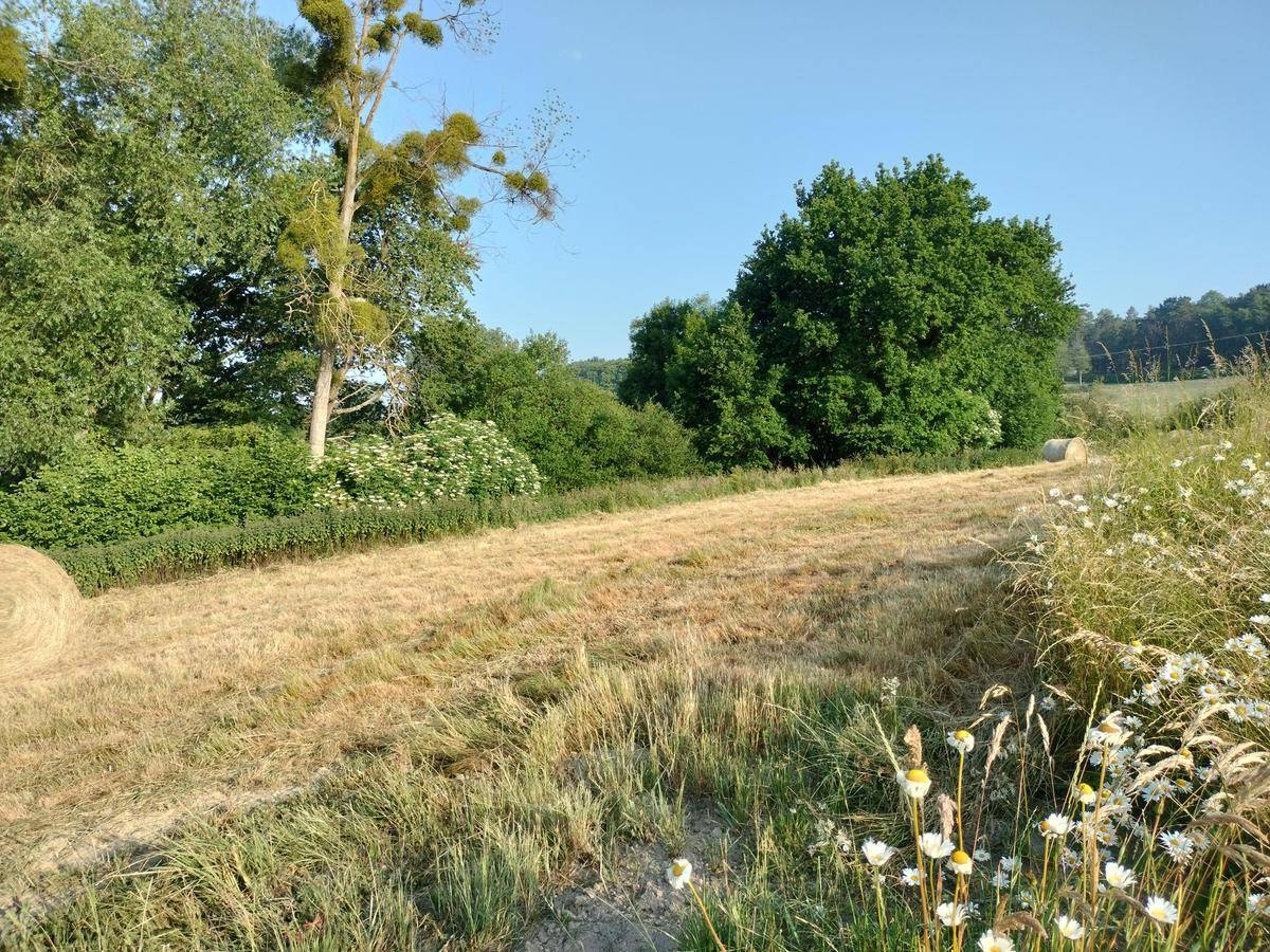Terrain seul à Gosné en Ille-et-Vilaine (35) de 360 m² à vendre au prix de 65000€