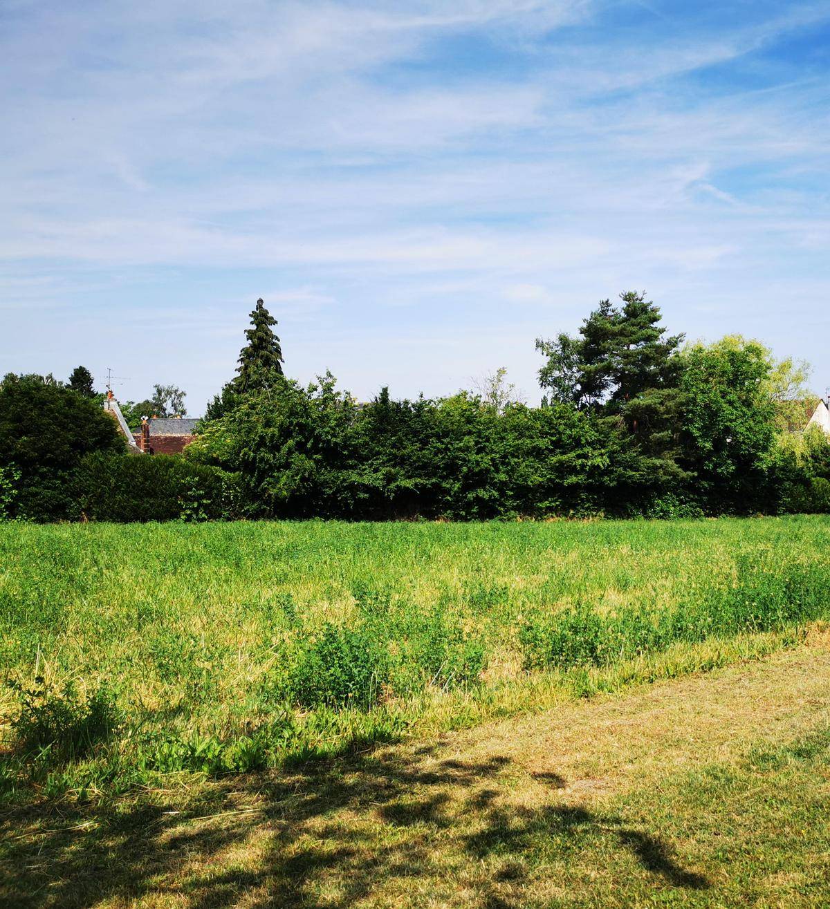 Terrain seul à Beaulieu-lès-Loches en Indre-et-Loire (37) de 925 m² à vendre au prix de 59500€