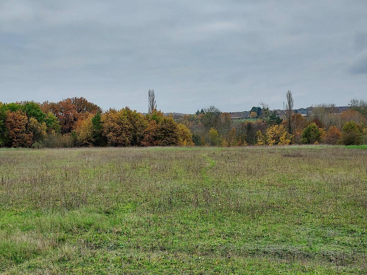 Terrain seul à Valloire-sur-Cisse en Loir-et-Cher (41) de 1148 m² à vendre au prix de 51000€