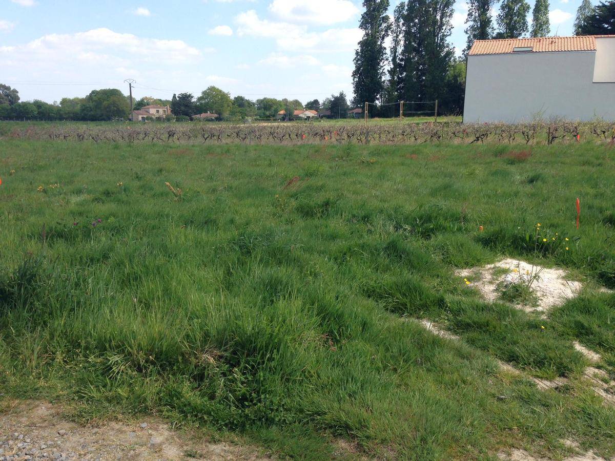 Terrain seul à Aigrefeuille-sur-Maine en Loire-Atlantique (44) de 503 m² à vendre au prix de 135000€