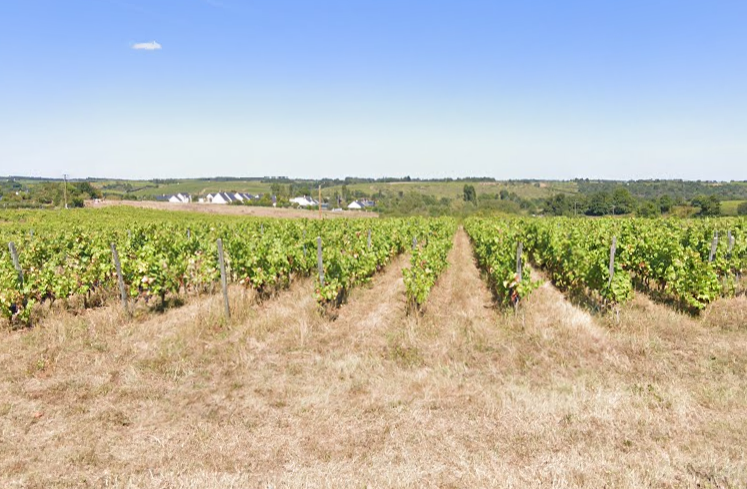 Terrain seul à RABLAY SUR LAYON en Maine-et-Loire (49) de 503 m² à vendre au prix de 58000€