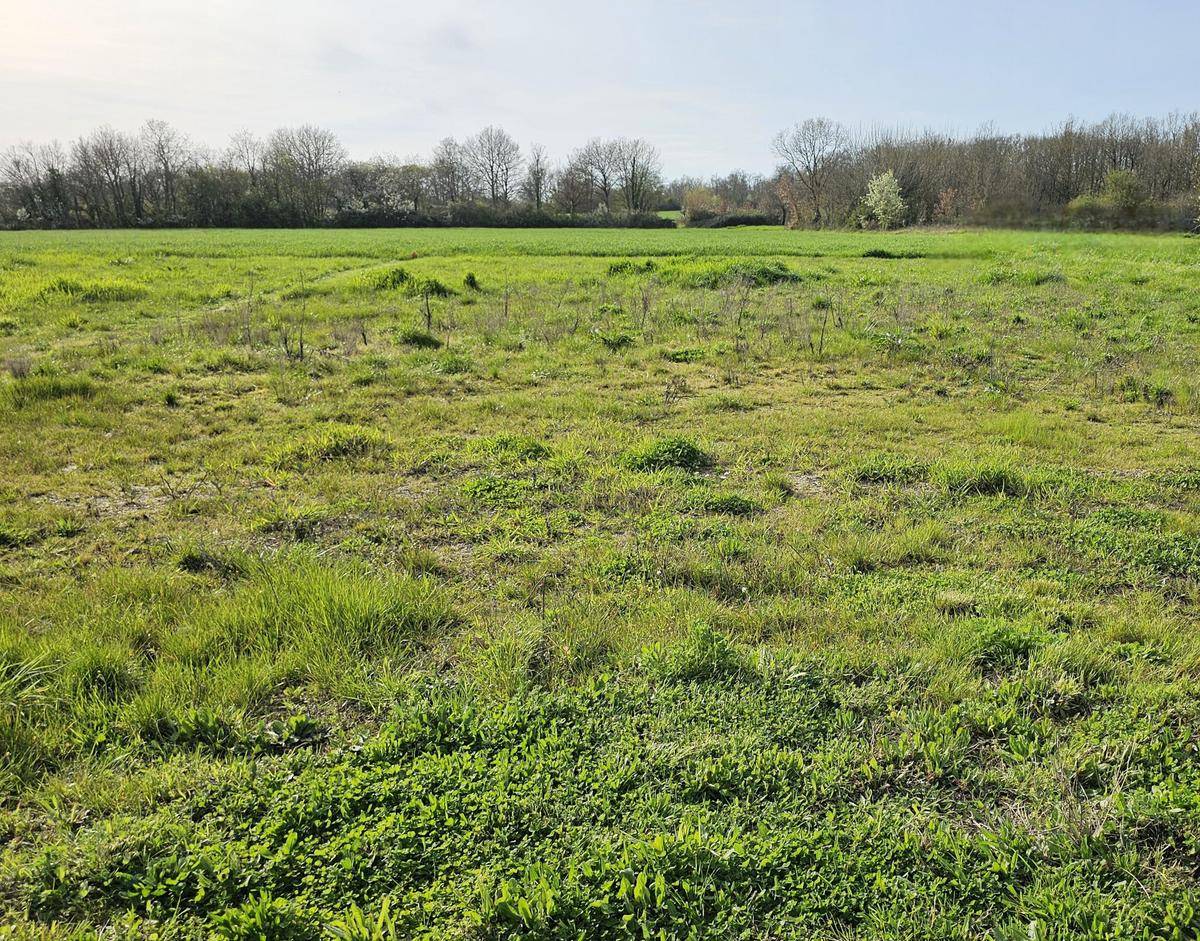 Terrain seul à Beaumont-Louestault en Indre-et-Loire (37) de 500 m² à vendre au prix de 53000€