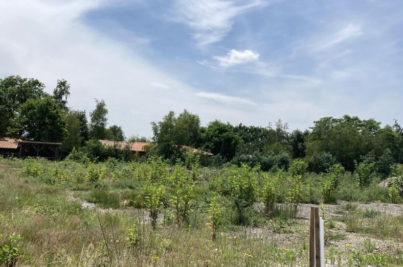 Terrain seul à Le Teich en Gironde (33) de 580 m² à vendre au prix de 305000€