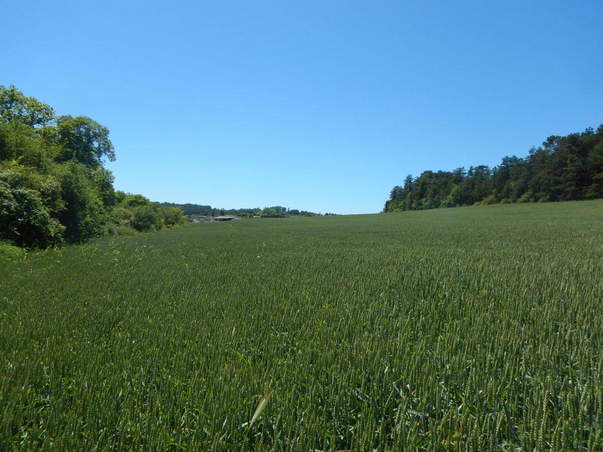 Terrain seul à Agonac en Dordogne (24) de 1340 m² à vendre au prix de 24000€