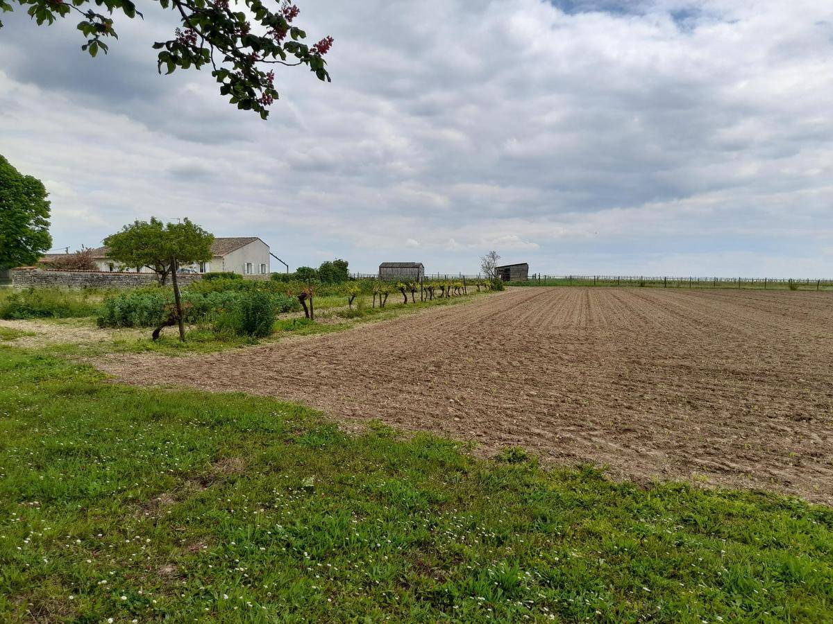 Terrain seul à Échallat en Charente (16) de 3358 m² à vendre au prix de 50000€ - 1