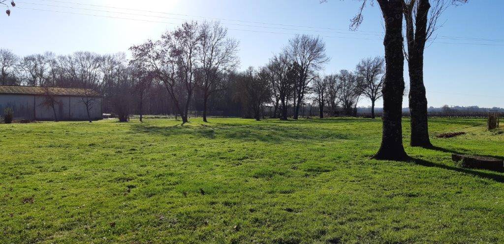 Terrain seul à Nercillac en Charente (16) de 1850 m² à vendre au prix de 40000€ - 1