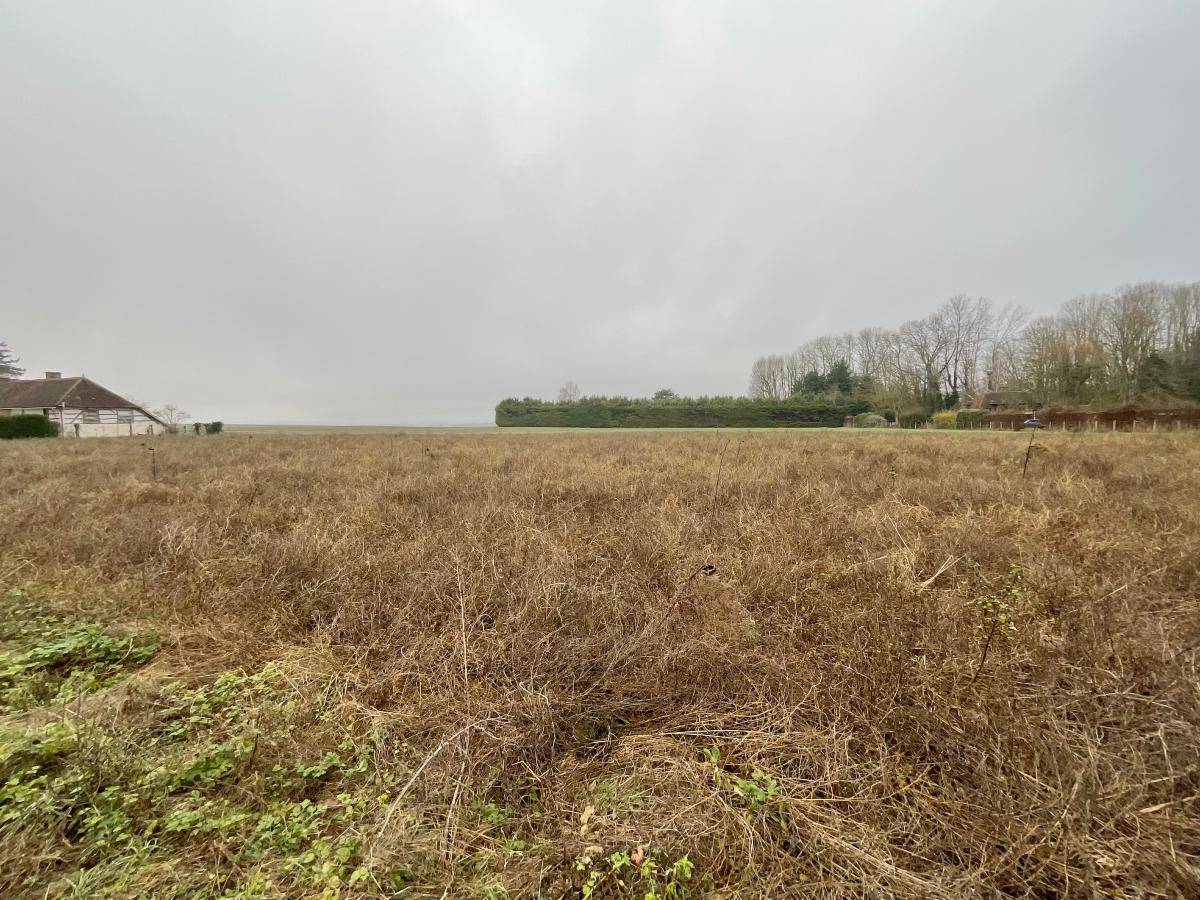 Terrain seul à Villemereuil en Aube (10) de 1800 m² à vendre au prix de 67000€ - 2