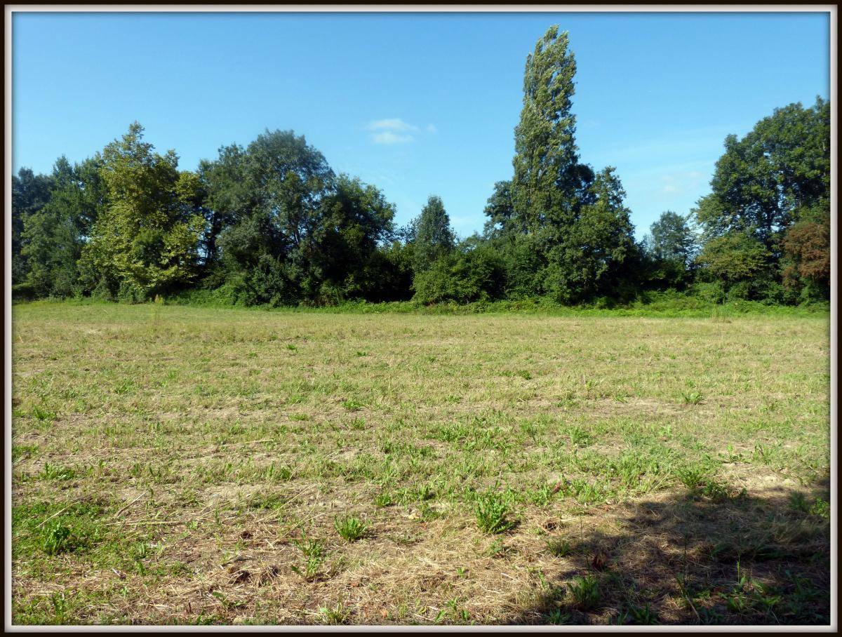 Terrain seul à Sendets en Pyrénées-Atlantiques (64) de 1000 m² à vendre au prix de 135000€ - 3