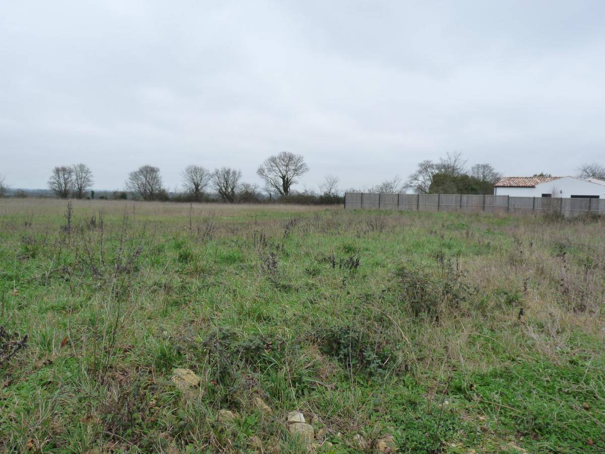 Terrain seul à Angliers en Charente-Maritime (17) de 700 m² à vendre au prix de 146000€ - 1