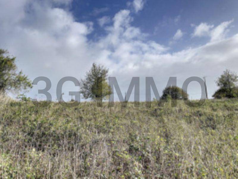 Terrain seul à Peyre en Landes (40) de 4350 m² à vendre au prix de 55000€ - 1