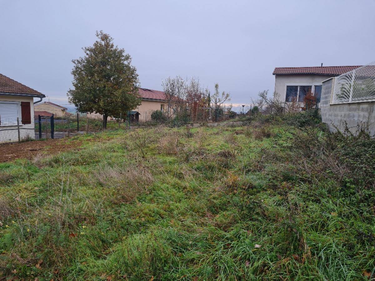 Terrain seul à Bellegarde-en-Forez en Loire (42) de 0 m² à vendre au prix de 49000€ - 2