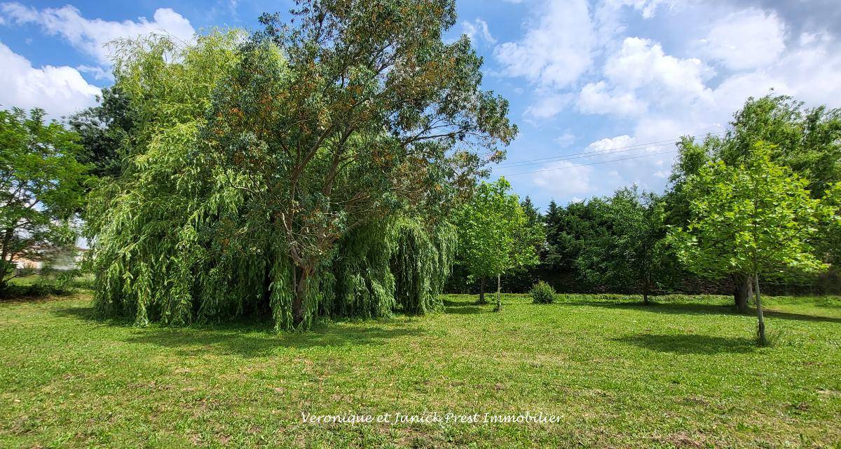 Terrain seul à Sainte-Foy-d'Aigrefeuille en Haute-Garonne (31) de 770 m² à vendre au prix de 158000€ - 3