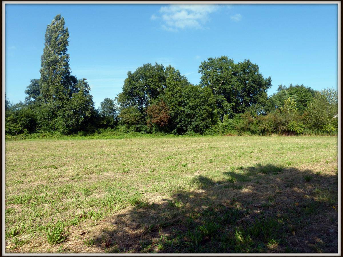 Terrain seul à Sendets en Pyrénées-Atlantiques (64) de 1000 m² à vendre au prix de 135000€ - 1