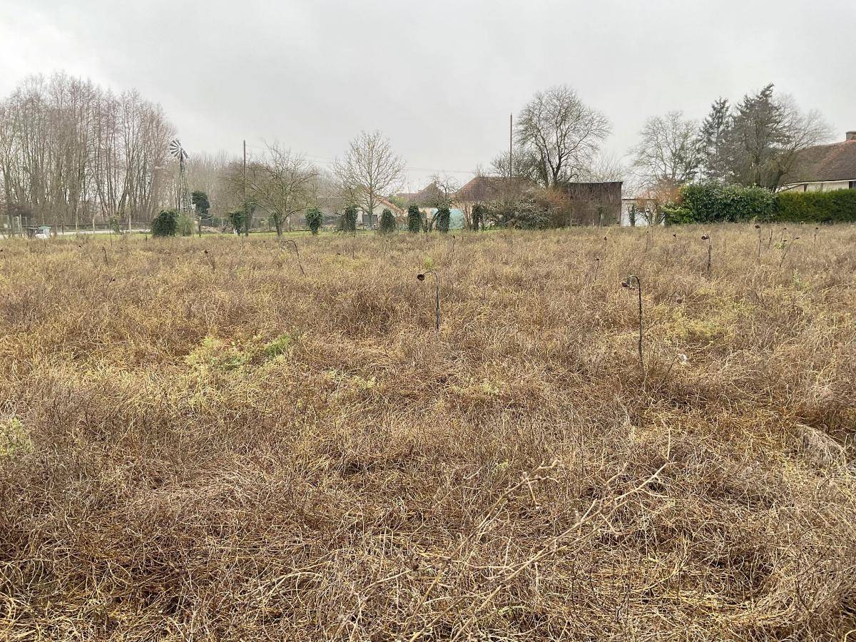 Terrain seul à Villemereuil en Aube (10) de 1800 m² à vendre au prix de 67000€ - 4