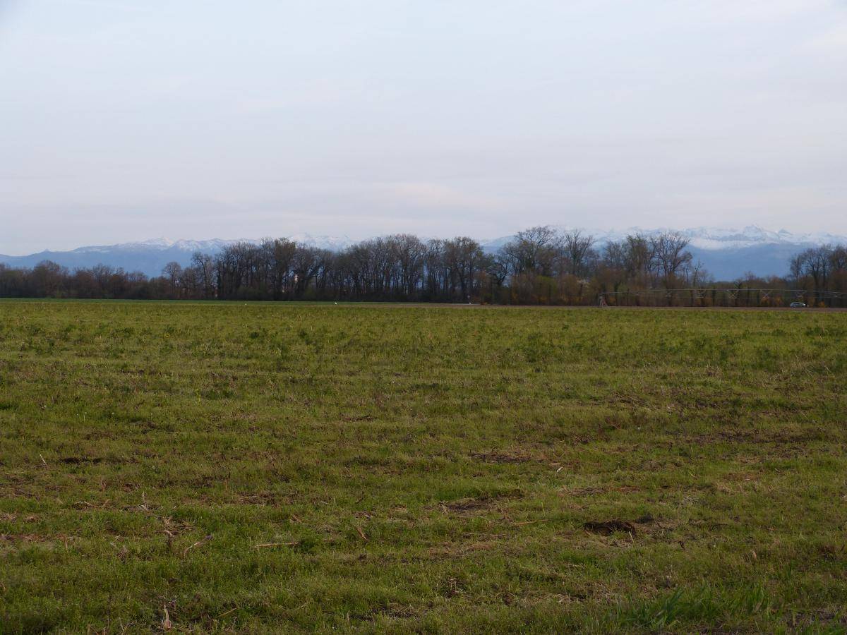 Terrain seul à Uzein en Pyrénées-Atlantiques (64) de 1552 m² à vendre au prix de 135000€ - 2