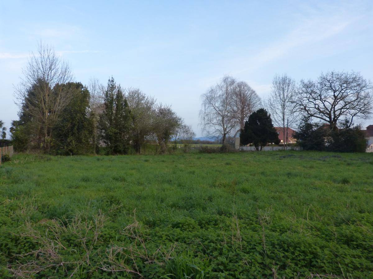 Terrain seul à Uzein en Pyrénées-Atlantiques (64) de 1552 m² à vendre au prix de 135000€ - 1