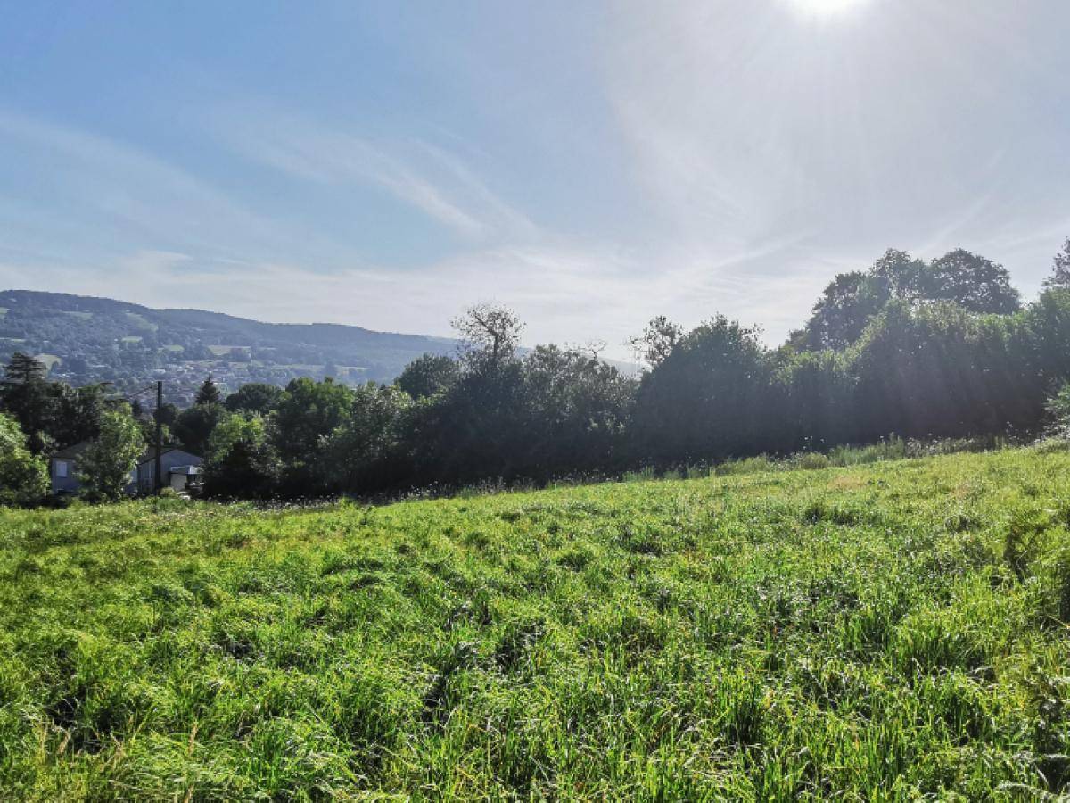 Terrain seul à Mazamet en Tarn (81) de 2740 m² à vendre au prix de 44500€ - 1