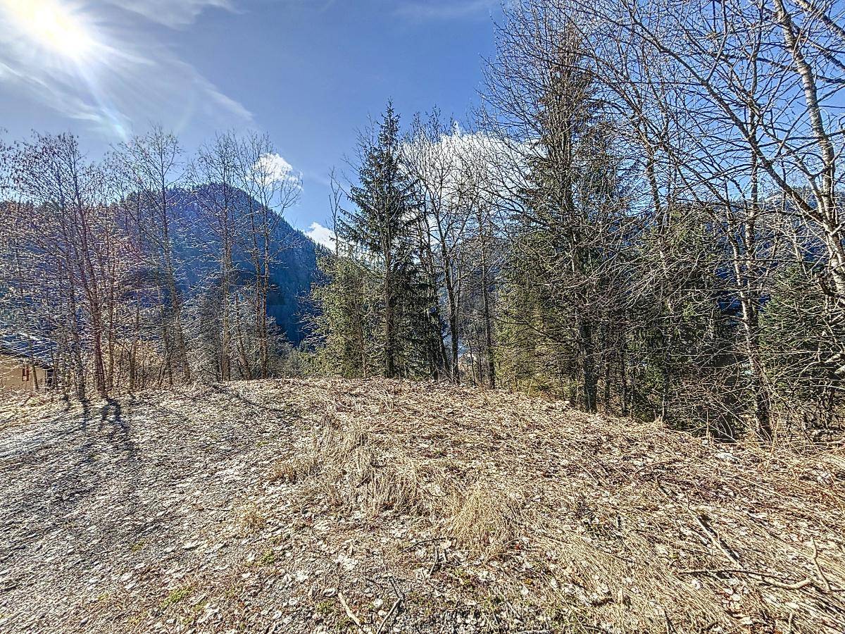 Terrain seul à Bellevaux en Haute-Savoie (74) de 1583 m² à vendre au prix de 169600€ - 3