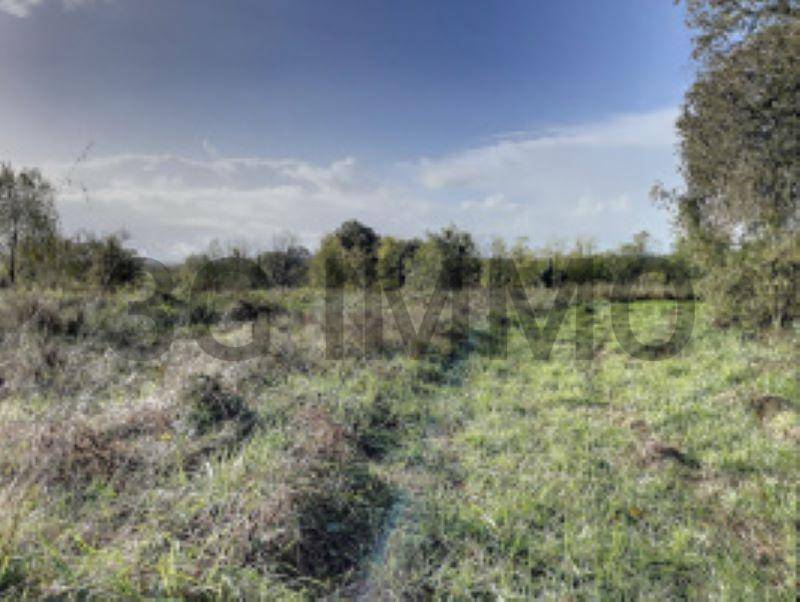 Terrain seul à Peyre en Landes (40) de 4350 m² à vendre au prix de 55000€ - 2