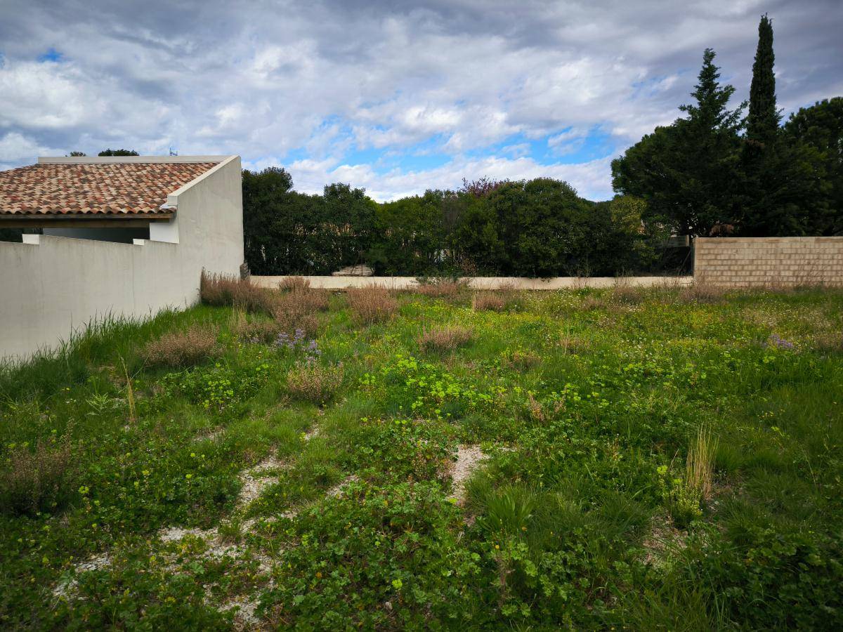Terrain seul à Neffiès en Hérault (34) de 430 m² à vendre au prix de 79000€ - 1