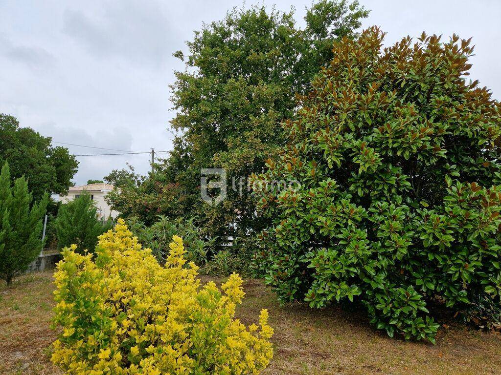 Terrain seul à Andernos-les-Bains en Gironde (33) de 0 m² à vendre au prix de 320000€