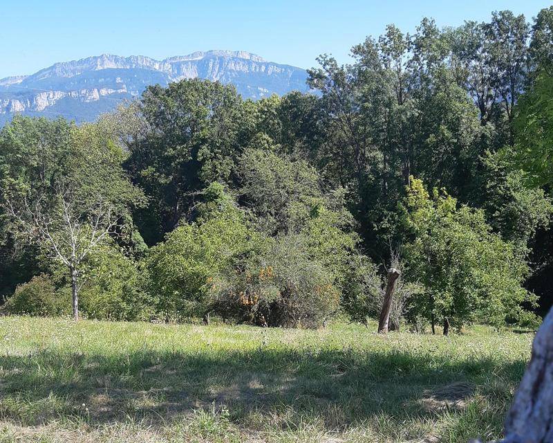 Programme immobilier LE BALCON DES ALPES 38430 Moirans