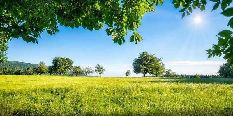 Programme immobilier L'Épître 62250 Beuvrequen