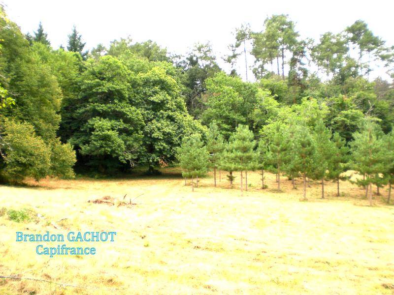 Terrain seul à Campsegret en Dordogne (24) de 8275 m² à vendre au prix de 66900€ - 4