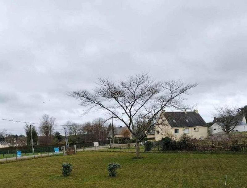 Terrain seul à Guillac en Morbihan (56) de 872 m² à vendre au prix de 24000€ - 1