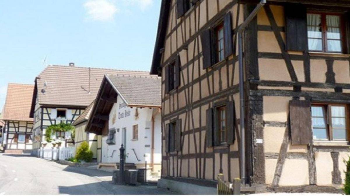 Terrain seul à Steinsoultz en Haut-Rhin (68) de 600 m² à vendre au prix de 114000€ - 3