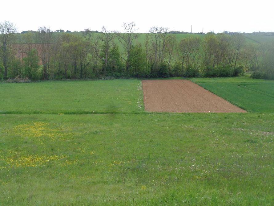 Terrain seul à Escamps en Yonne (89) de 1984 m² à vendre au prix de 44000€ - 1