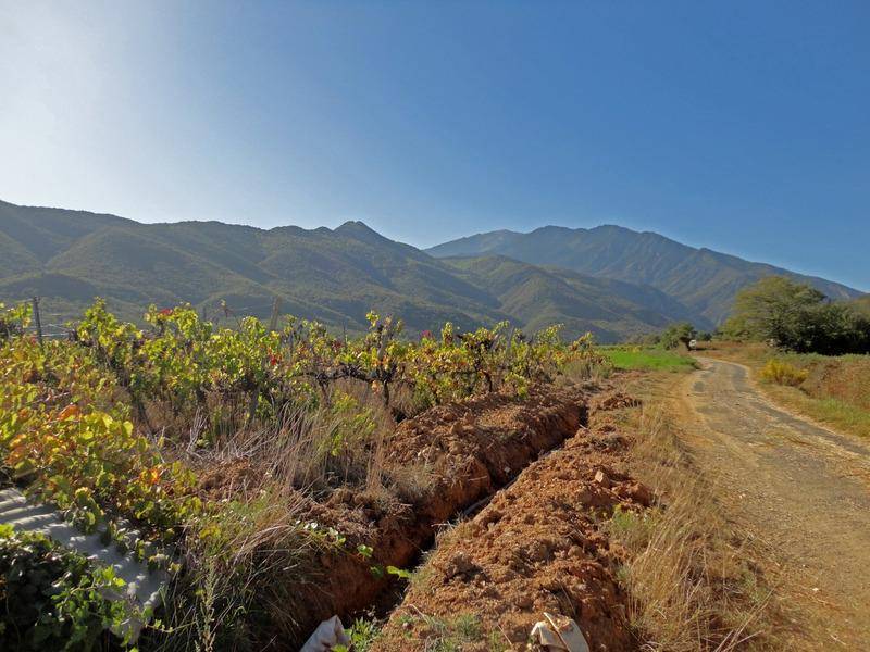 Terrain seul à Espira-de-Conflent en Pyrénées-Orientales (66) de 535 m² à vendre au prix de 96300€ - 2