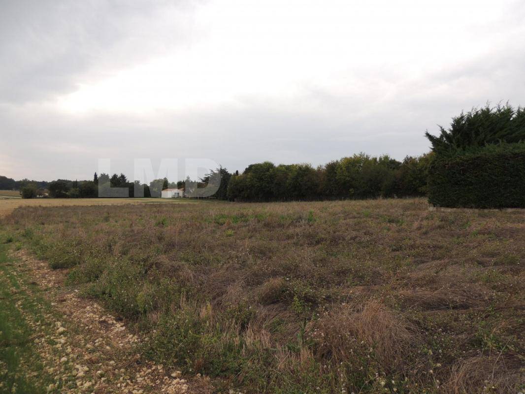 Terrain seul à Mazeray en Charente-Maritime (17) de 13000 m² à vendre au prix de 85000€ - 4