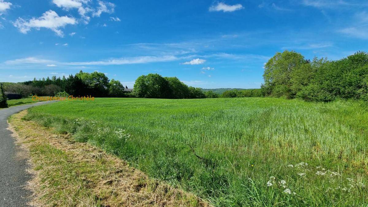 Terrain seul à Beauregard-de-Terrasson en Dordogne (24) de 10125 m² à vendre au prix de 95990€ - 3