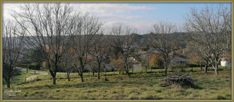 Terrain seul à Chalais en Charente (16) de 5090 m² à vendre au prix de 44000€ - 2