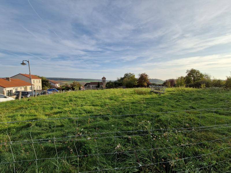 Terrain seul à Landremont en Meurthe-et-Moselle (54) de 1556 m² à vendre au prix de 219000€ - 2