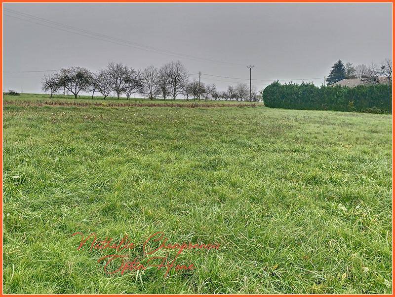 Terrain seul à La Romaine en Haute-Saône (70) de 2637 m² à vendre au prix de 41000€ - 4