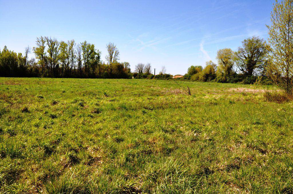 Terrain seul à Saubens en Haute-Garonne (31) de 741 m² à vendre au prix de 180000€ - 2