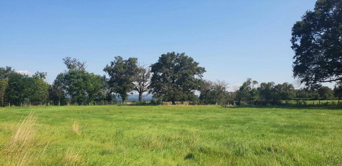 Terrain seul à Balbigny en Loire (42) de 4000 m² à vendre au prix de 96000€ - 1