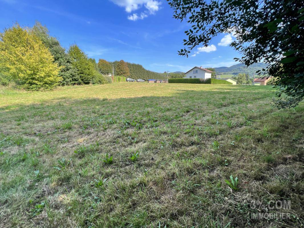 Terrain seul à Saint-Dié-des-Vosges en Vosges (88) de 5455 m² à vendre au prix de 156000€ - 4