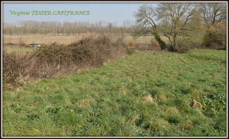 Terrain seul à Saint-Jean-d'Angély en Charente-Maritime (17) de 1217 m² à vendre au prix de 20000€ - 1