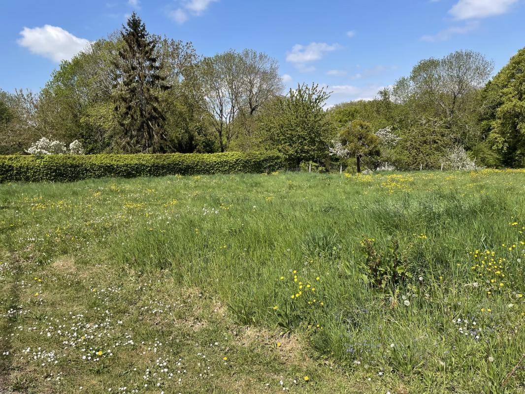 Terrain seul à Lachaussée-du-Bois-d'Écu en Oise (60) de 1000 m² à vendre au prix de 61000€ - 1