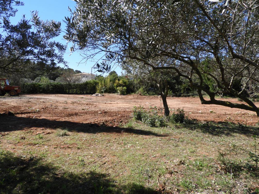 Terrain seul à Clermont-l'Hérault en Hérault (34) de 2000 m² à vendre au prix de 302000€ - 4