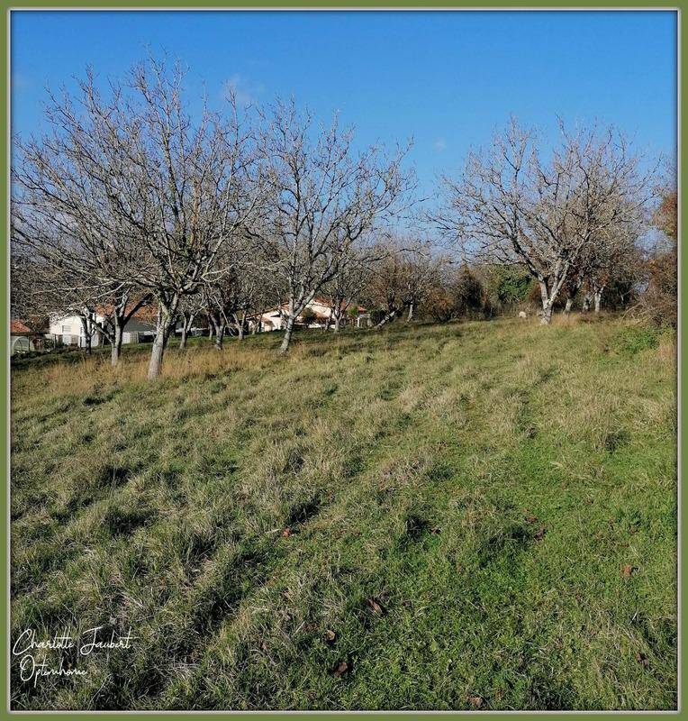 Terrain seul à Chalais en Charente (16) de 5090 m² à vendre au prix de 44000€ - 4
