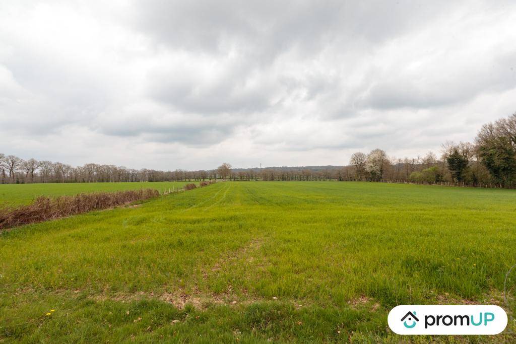 Terrain seul à Confolens en Charente (16) de 11500 m² à vendre au prix de 23990€ - 1