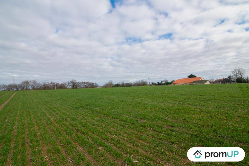 Terrain seul à Sempesserre en Gers (32) de 8000 m² à vendre au prix de 52000€ - 2