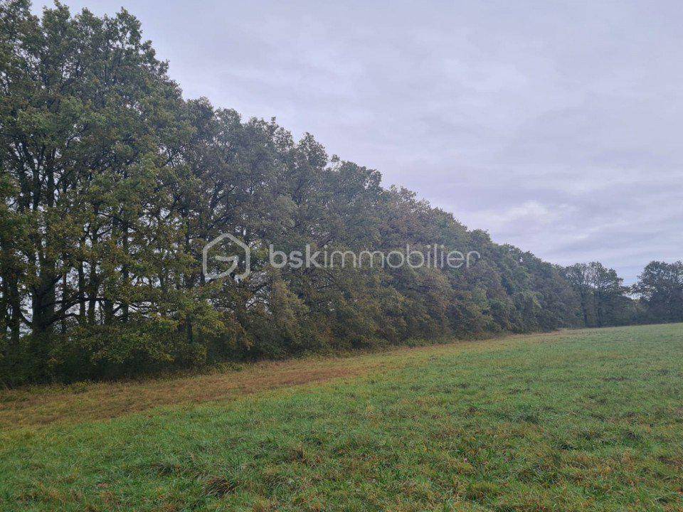 Terrain seul à Saint-Fargeau en Yonne (89) de 77086 m² à vendre au prix de 2300000€ - 2