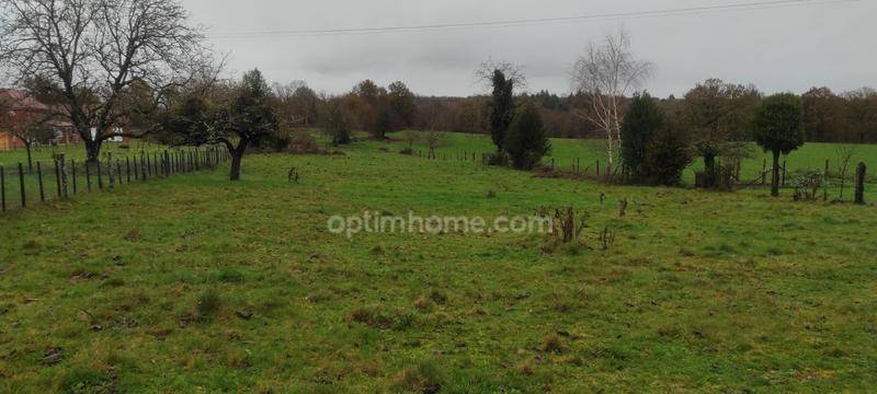 Terrain seul à Savignac-Lédrier en Dordogne (24) de 3058 m² à vendre au prix de 19000€ - 4