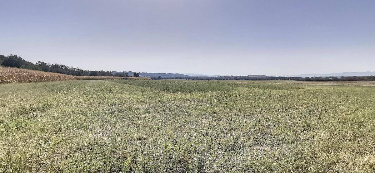 Terrain seul à Chaponnay en Rhône (69) de 630 m² à vendre au prix de 210000€ - 3