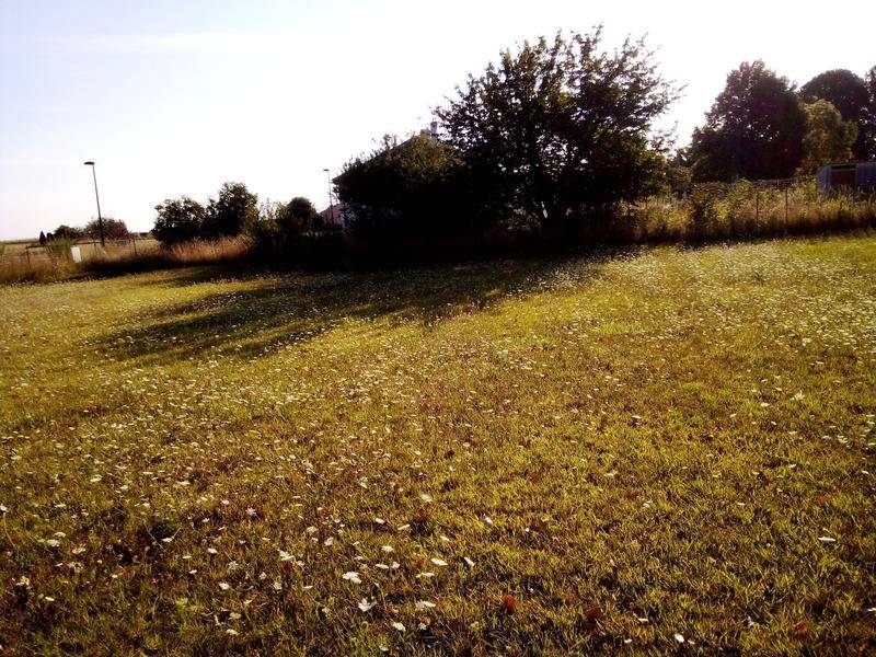 Terrain seul à Herleville en Somme (80) de 660 m² à vendre au prix de 25000€ - 3